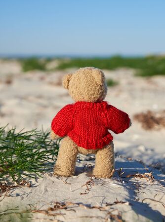 brown teddy bear in a red sweater stands on the sandy seashore and looks into the distance, concept of lonelinessの写真素材