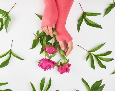 female hands and burgundy blooming peonies on a white  background, fashionable concept for hand skin care, anti-aging care, spa treatmentsの写真素材