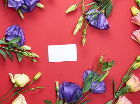 fresh blooming flowers Eustoma Lisianthus and empty paper card on red  background, top view,の写真素材