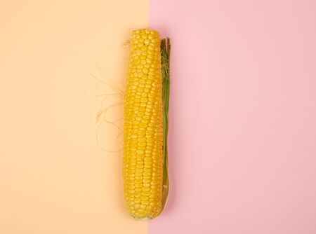 one ripe yellow corn cob on a abstract background, top view, copy space の写真素材