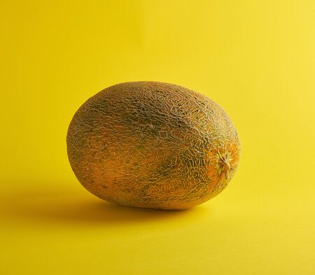 whole ripe melon on a yellow background, summer fruit, close up