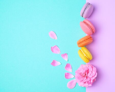 four multi-colored macarons with cream and a pink rose bud with scattered petals on a colored background, top view, flat layの写真素材