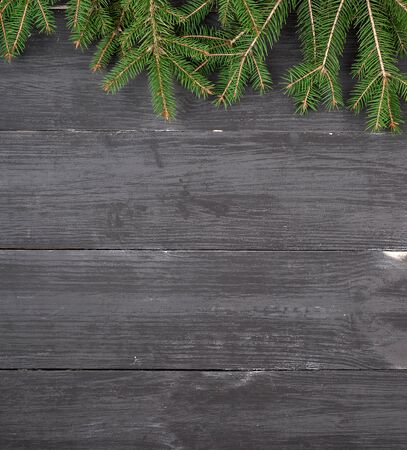 Green branches of a Christmas tree on a black wooden background, copy spaceの写真素材