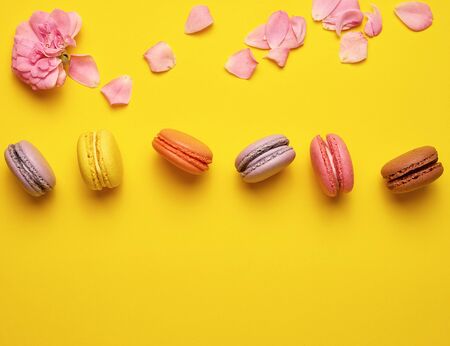 sweet multi-colored macaroons with cream and a pink rose bud with scattered petals on a yellow  background, top view, flat lay, copy spaceの写真素材