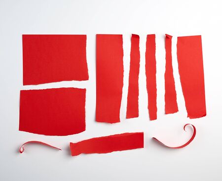various torn strips of red paper on a white background, flat layの写真素材