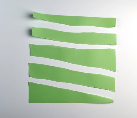 various torn pieces of green strips of paper on a white background, close upの写真素材