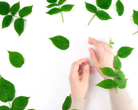 two female hands of a young girl with smooth skin, white background, concept of spa treatments for skin, copy spaceの写真素材