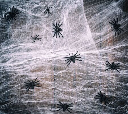 white spider web with black spiders on a wooden background from old boards, backdrop for the holiday...