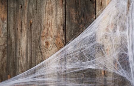 white spider web in the corner of the composition, gray wooden background from old boards, backdrop for the holiday Halloween, copy spaceの写真素材
