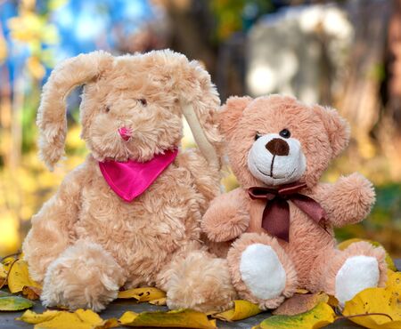 little teddy bunny with long ears and a teddy bear are sitting in the middle of dry yellow leaves on an autumn day, blurred background behind, friendship conceptの写真素材