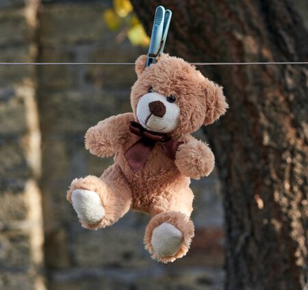 old teddy bear hanging on a clothesline, autumn dayの写真素材