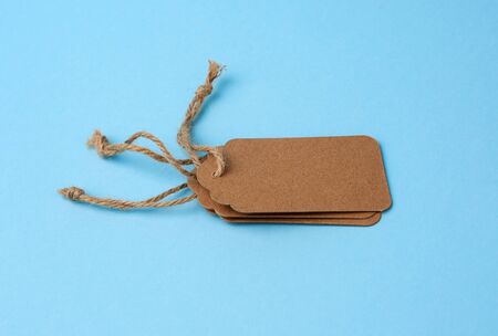 Empty brown paper tags tied with white string. Price tag, gift tag, sale tag  on the blue...