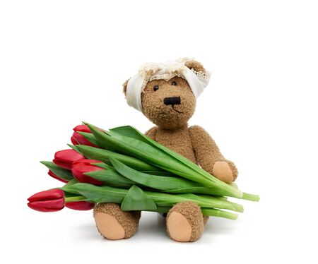 vintage cute brown teddy bear holds in his paw a red tulips, festive birthday backdrop, Valentine's day, anniversary. Toy isolated on a white backgroundの写真素材