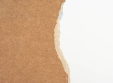 torn edges of corrugated cardboard paper with white background, abstract backdrop templateの写真素材