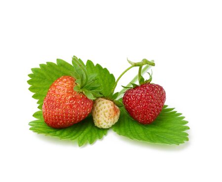 ripe red juicy strawberries lies on a green leaf and isolated on a white backgroundの写真素材