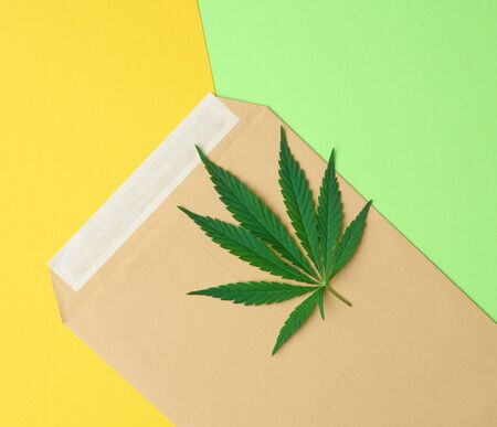 brown paper envelope and green sheet of paper on a colored background, top view