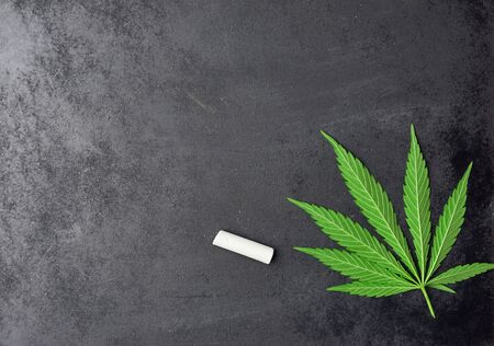 green hemp leaf on a black chalk board and a piece of white chalk, place for an inscriptionの写真素材