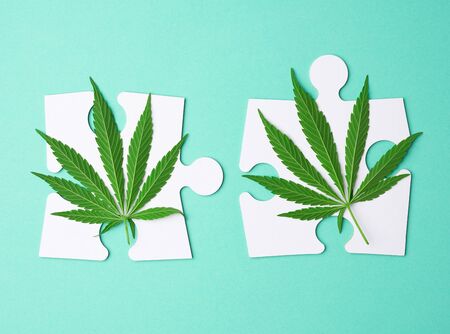 green hemp leaves and big white paper puzzles on a green background, top view, flat lay