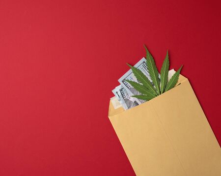 brown paper envelope with a green leaf of hemp and paper American dollars on a red background, top viewの写真素材