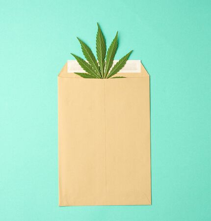brown paper envelope and green leaf of hemp on a green background, top viewの写真素材
