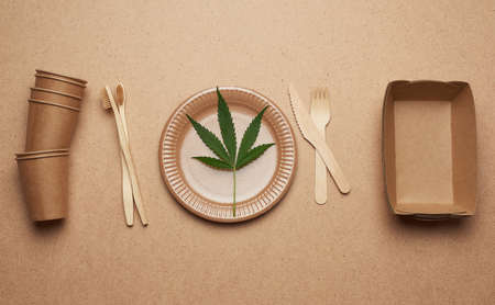 set of brown paper plates, cups and wooden forks and knives on a brown background, flat lay. View from above, plastic rejection concept, zero wasteの写真素材