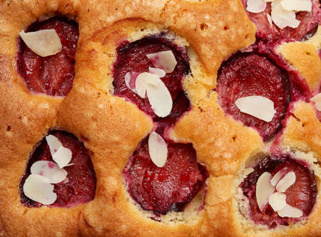 texture of baked sponge cake with plums, full frame, delicious dessert, close up