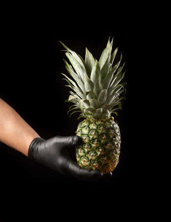male hand in black latex glove holds a whole unpeeled pineapple, black background