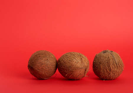 ripe whole round coconut on a red background, close upの写真素材