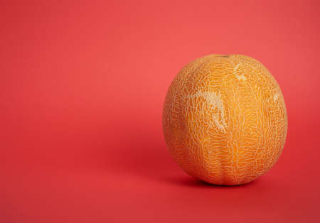 round yellow ripe melon on red background, close up, copy space