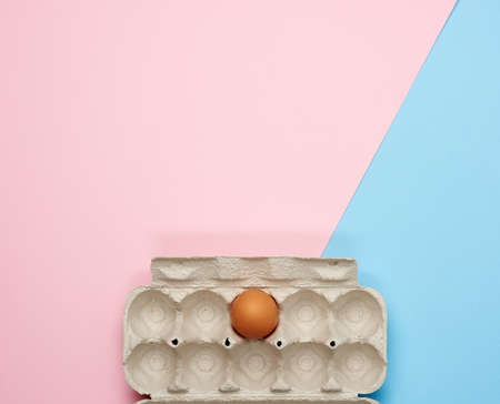 whole brown chicken egg in a paper tray on a pink-blue background, top view, copy space
