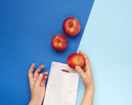 two female hands fold ripe red apples in a white paper bag, blue backgroundの写真素材