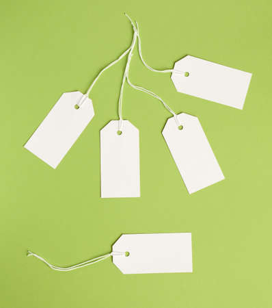 white paper rectangular tag on a rope on a green background, flat lay. Price tag, giftの写真素材