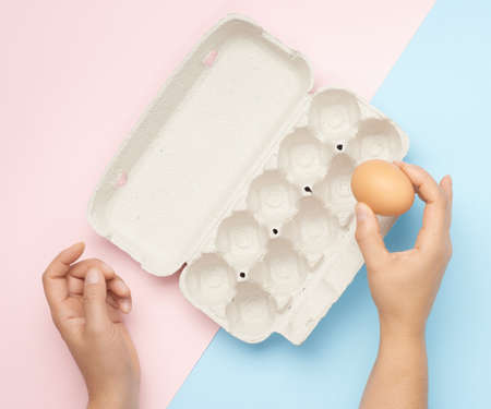 hand hold whole brown chicken egg and paper tray on a pink-blue background, top viewの写真素材