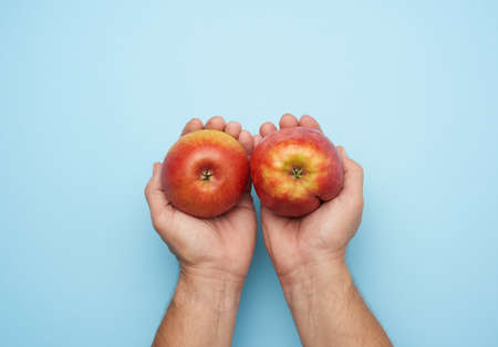 two male hands hold a ripe red apple on a blue background, top viewの写真素材