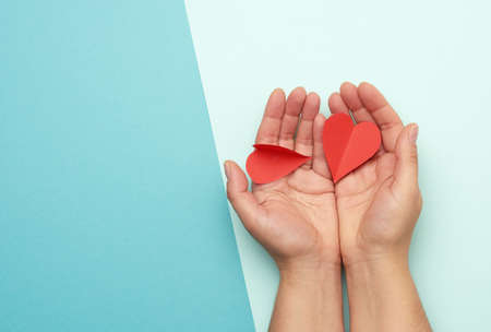 female hand holding red paper hearts on a blue background, close upの写真素材