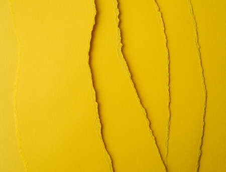 background of layered yellow torn paper with a shadow, backdrop and template for designer, close up