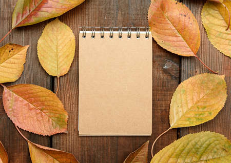 open notebook with blank brown sheets and yellow cherry leaves on brown wooden background, top viewの写真素材