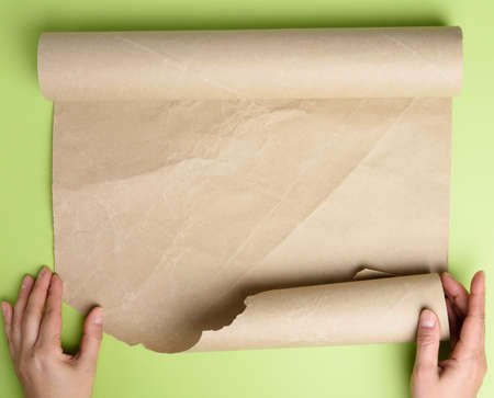 two female hands hold rolled brown paper, green background, top view, copy spaceの写真素材