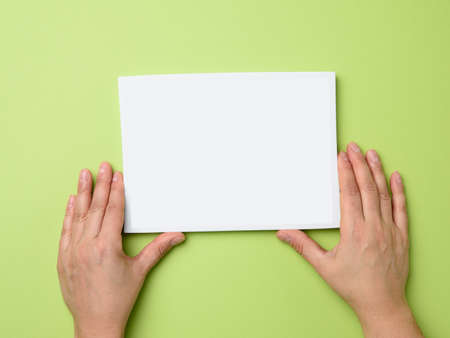 two female hands holding an empty white frame on a green backgroundの写真素材