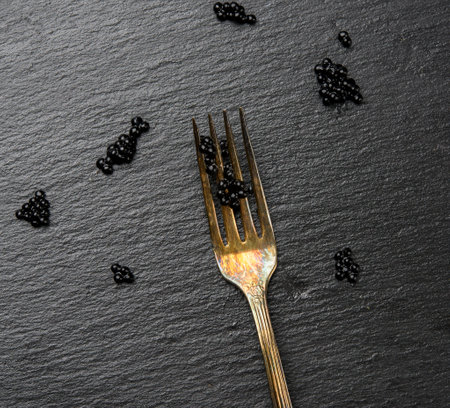 fresh grainy black paddlefish caviar in metal fork on a black background, top view