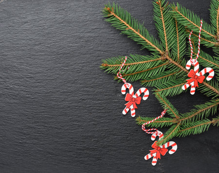 green branches of needles on a black background, festive Christmas background, copy spaceの写真素材
