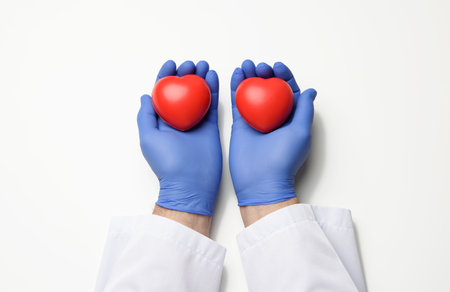 male doctor's hand in blue latex gloves and white coat holding a red heart, donation concept, white backgroundの写真素材