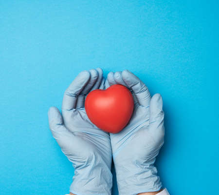 two hands in blue latex gloves holding a red heart, donation concept, top viewの写真素材
