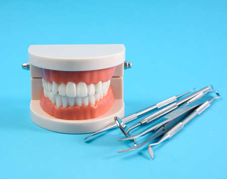 plastic model of a human jaw with white teeth and various dental instruments for the doctor's work in the oral cavity, blue background, close upの写真素材
