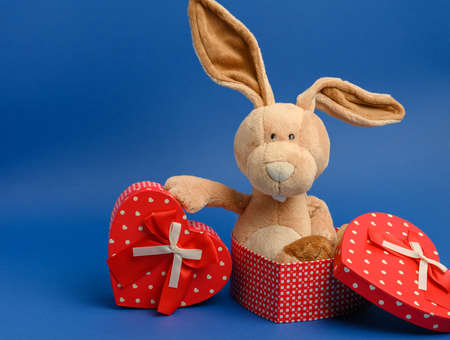 cute plush rabbit holding a gift box tied with a red silk ribbon, blue background
