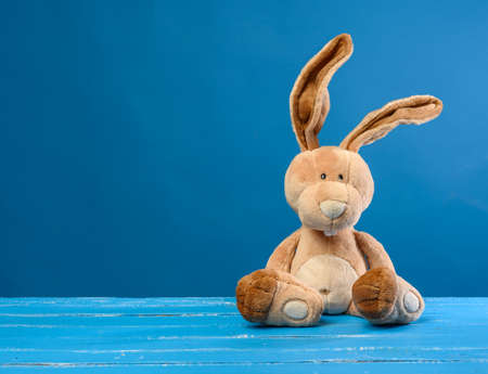 funny beige plush rabbit with big ears and funny face on a blue background, copy spaceの写真素材