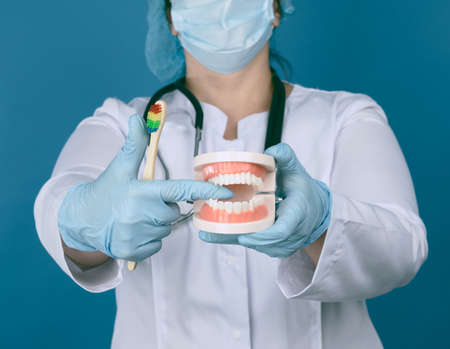 female medic in a white coat, a mask holds a plastic model of a human jaw and a wooden toothbrush on...