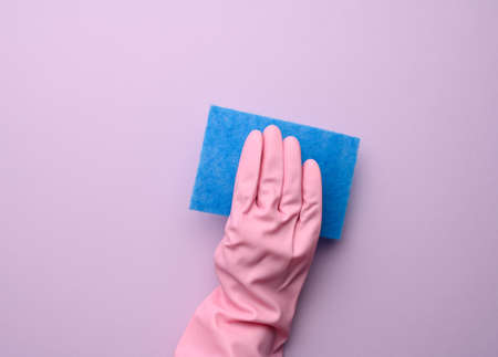 female hand in pink rubber glove holds blue kitchen sponge on purple background, close upの写真素材