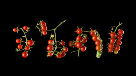 branch with red ripe cherry tomato on a black background, autumn harvest, setの写真素材