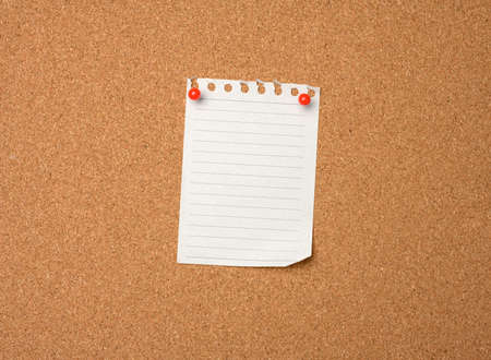 blank sheet of paper pinned by button on brown cork board, copy space